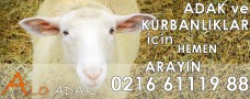 Alo Adak Online Kurban kesimi