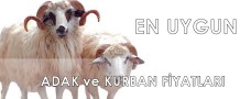 Kurban Kesimi