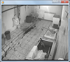 Terazi Canlı Yayın