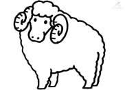 Ekonomik Kurban Pazarı