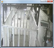 Kesimhane Canlı Yayıın